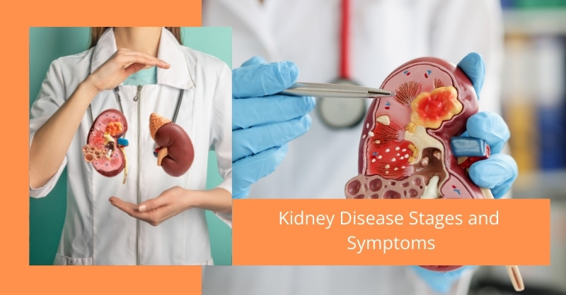 Kidney Disease Stages and Symptoms