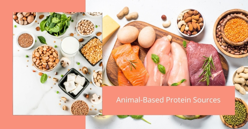 Animal-Based Protein Sources