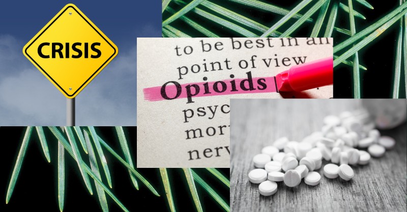 access to treatment, addiction crisis, addiction treatment, community impact, criminal justice, drug companies, drug crisis, drug epidemic, drug marketing, drug trafficking, economic impact, family impact, fentanyl crisis, fentanyl deaths, fentanyl overdose, harm reduction, healthcare costs, healthcare providers