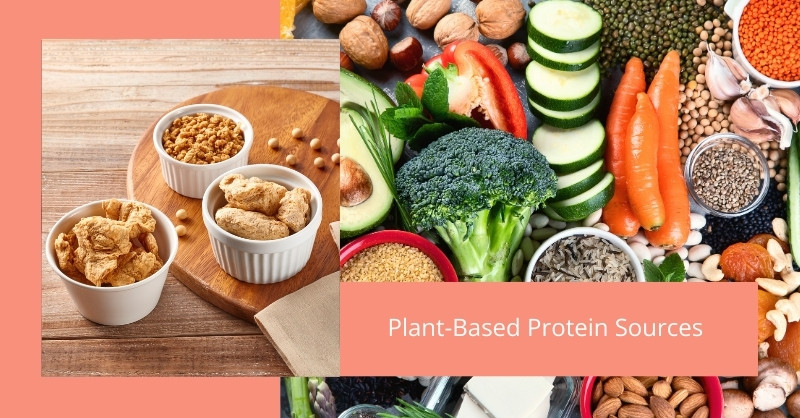 Plant-Based Protein Sources