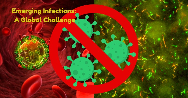 agricultural practices and disease, animal-to-human transmission, antimicrobial resistance, bacterial infections, climate change and disease, coronavirus, COVID-19, CRE, deforestation and disease, dengue fever, disease containment, Disease prevention, disease research, disease surveillance